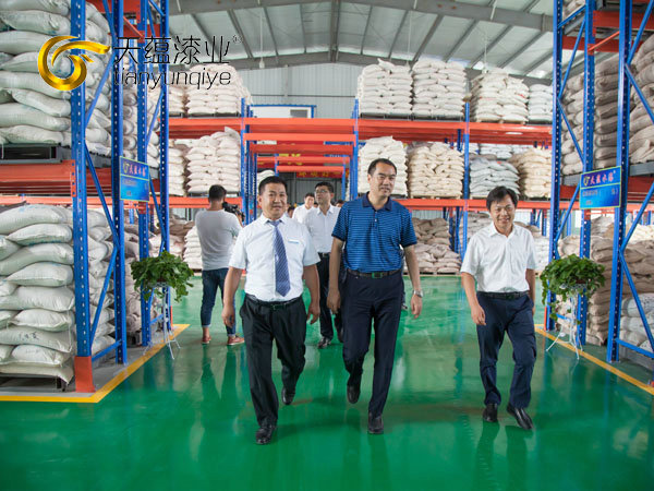 嘉祥縣縣委書記周生宏，視察天蘊漆業(yè)公司